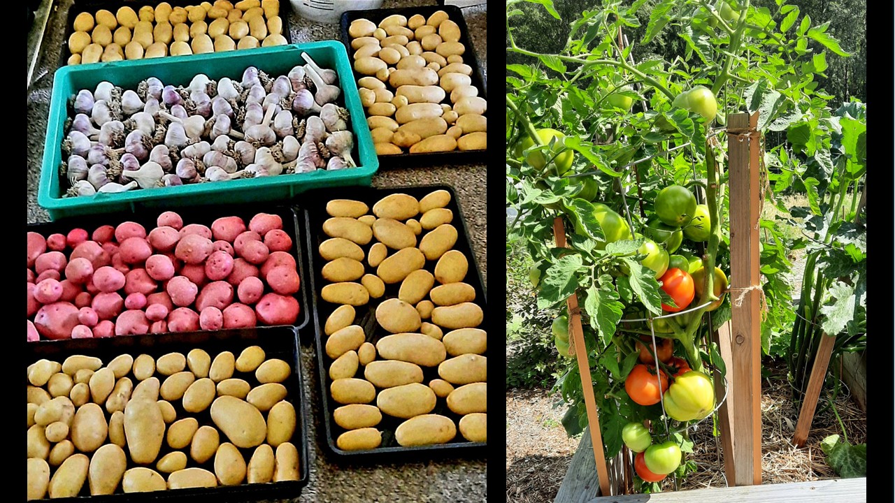 More produce